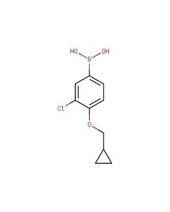 Astatech 3-CHLORO-4-(CYCLOPROPYLMETHOXY)PHENYLBORONIC ACID, 95.00% Purity, 0.25G